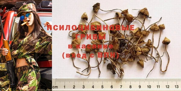 ПСИЛОЦИБИНОВЫЕ ГРИБЫ Арсеньев