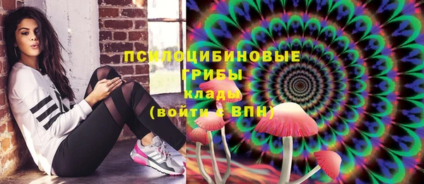 MESCALINE Аркадак