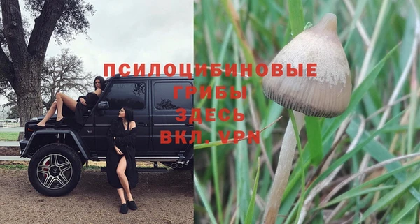 MESCALINE Аркадак