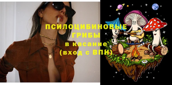 ПСИЛОЦИБИНОВЫЕ ГРИБЫ Арсеньев