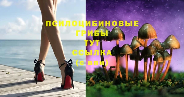 не бодяженный Армянск
