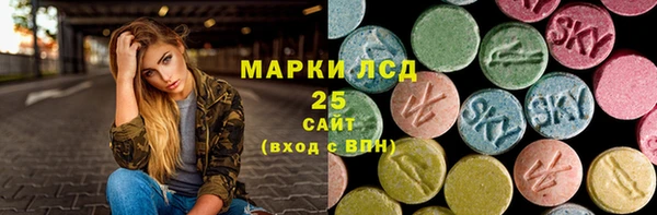 ПСИЛОЦИБИНОВЫЕ ГРИБЫ Арсеньев